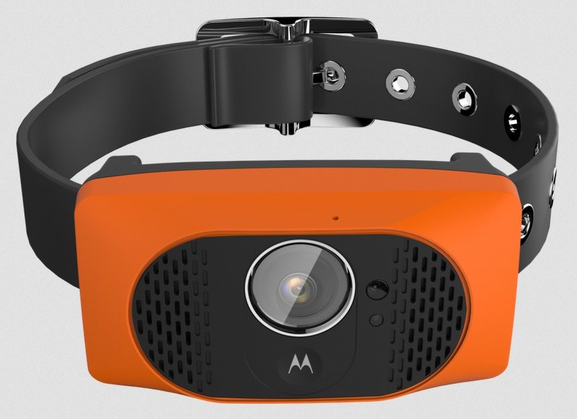 Motorola Scout es un collar inteligente para mascotas