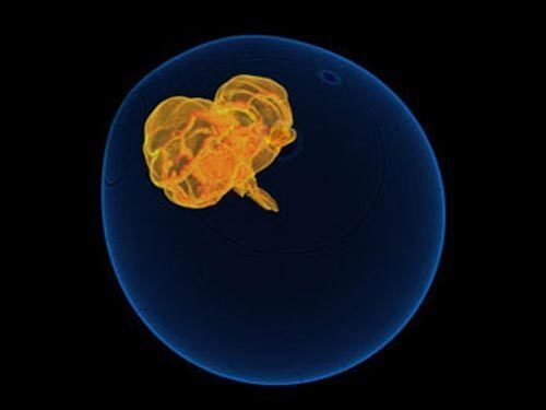 Simulando supernovas con Blue Gene/P