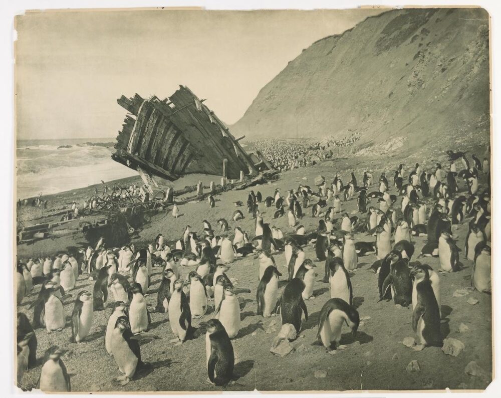 The First Australasian Antarctic Expedition in Photos