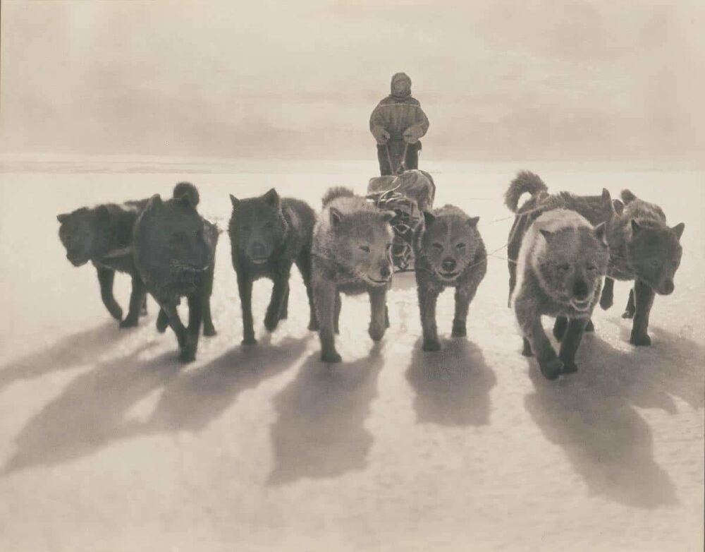 The First Australasian Antarctic Expedition in Photos