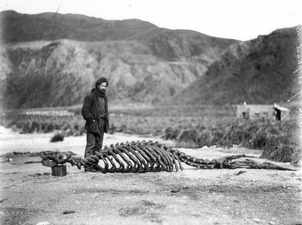 The First Australasian Antarctic Expedition in Photos