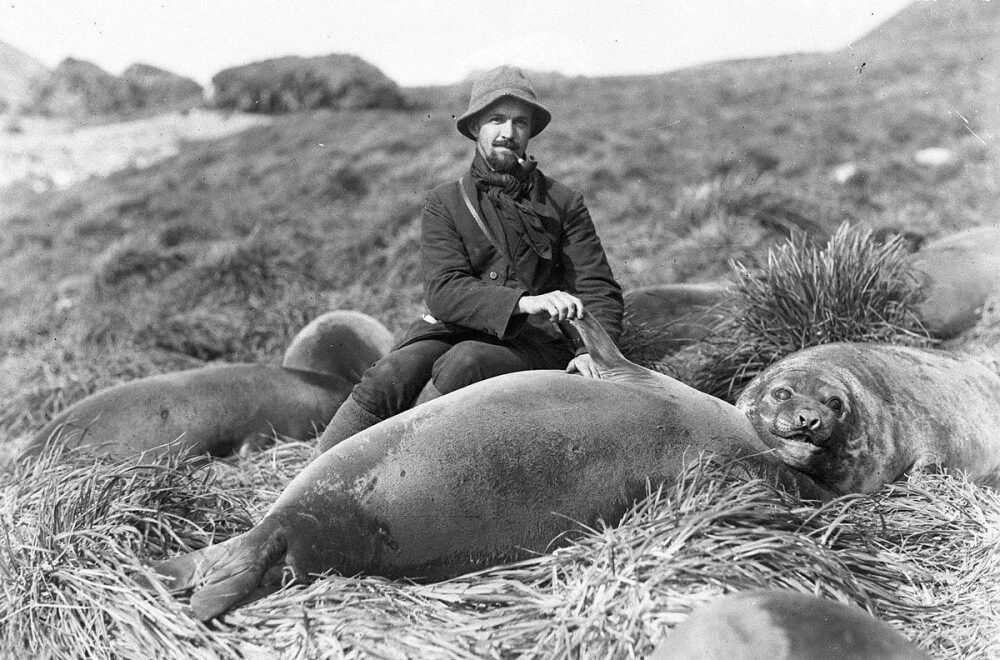 The First Australasian Antarctic Expedition in Photos