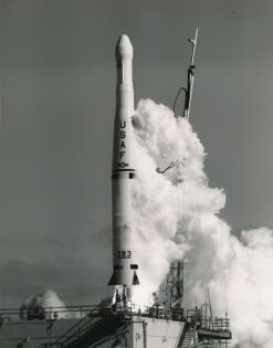 O dia em que um foguete espacial matou uma vaca