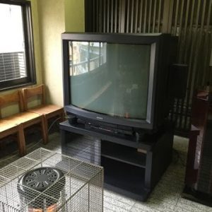 Sony KX-45ED1: Ratunek dla największego telewizora CRT na świecie
