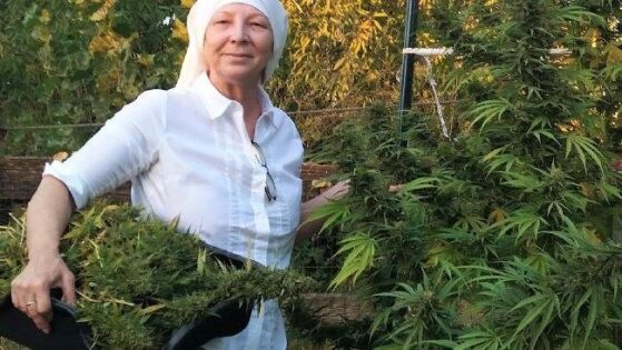 The Nuns Who Grow Marijuana to Help the Sick (Gallery)