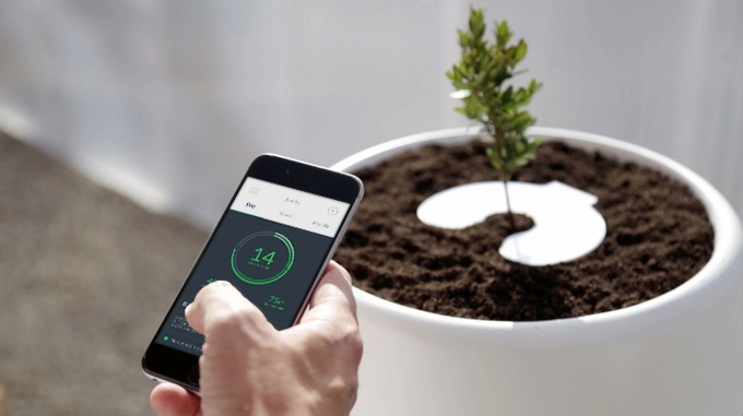 Begrafenisurn met wifi om als boom te reïncarneren