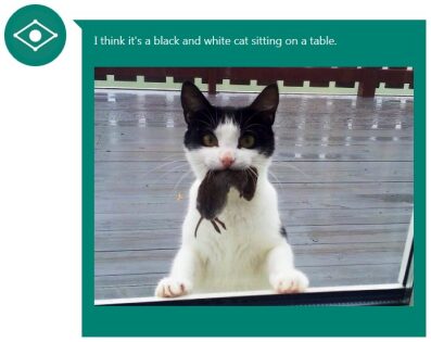 CaptionBot : des descriptions automatiques pour vos photos
