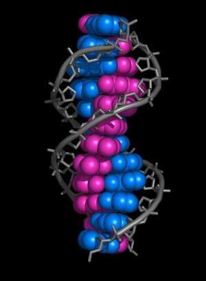 ADN: ¿el reemplazo del silicio?