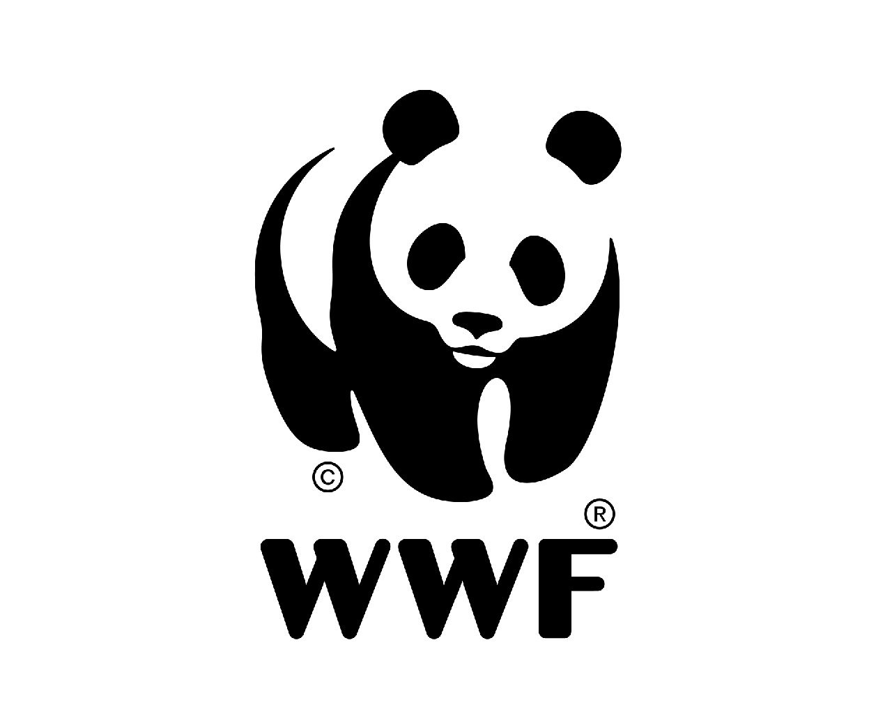 La ONG ecologista WWF alerta sobre el futuro.