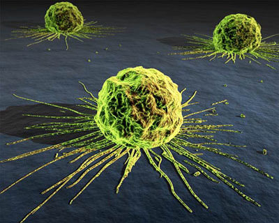 Si incrementas los telómeros aumenta mucho la probabilidad de cáncer