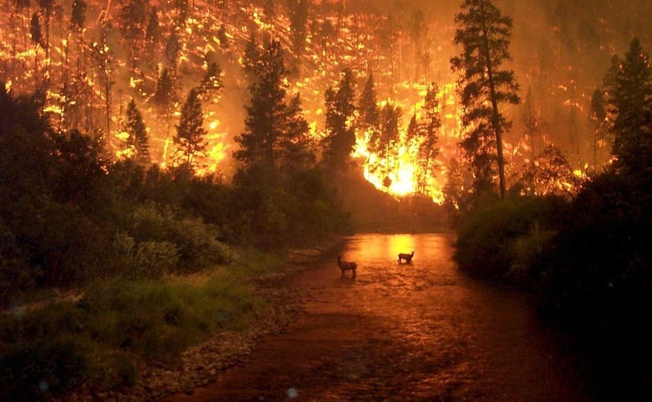 Los incendios forestales arrasarán las ciudades