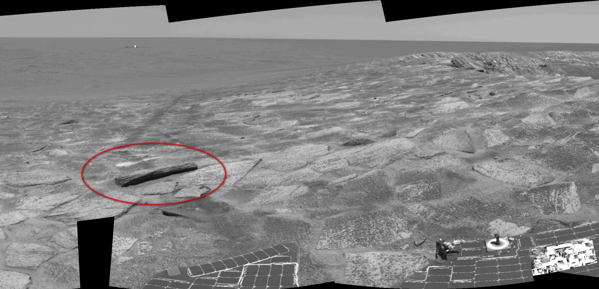 Parece un tablón de madera… ¡pero en Marte!