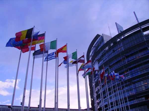 La Eurocámara también aboga por aumentar la presión jurídica contra la ciberdelincuencia