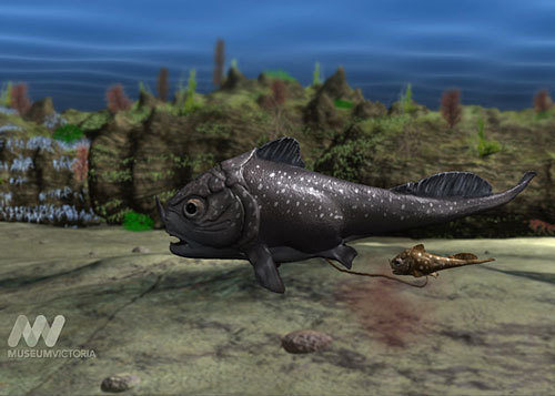 Este fósil de pez fue encontrado en las costas de Australia.