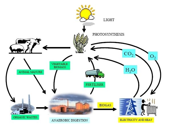 Esquema del proceso de obtención de energía a partir del biogás