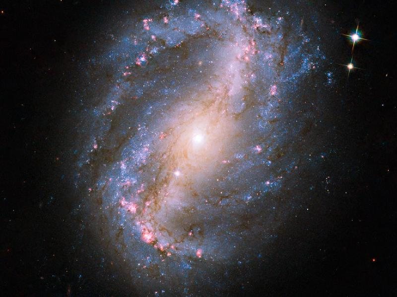 Barred Spiral Galaxy NGC 6217, fotografiada por el Hubble.
