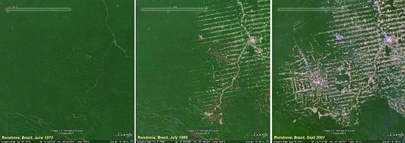 La evolución de la deforestación en Rondonia desde 1975 a 2001
