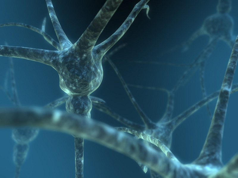 Los “ordenadores químicos” serán capaces de imitar comportamientos propios de las neuronas.