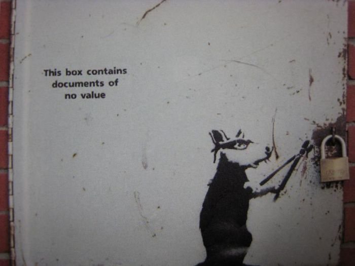 Excelente imagen de una rata intentando robar los contenidos de una caja.
