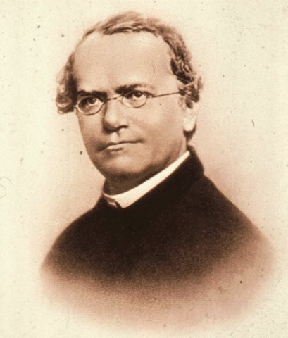 Gregor Mendel, el padre de la genética – NeoTeo