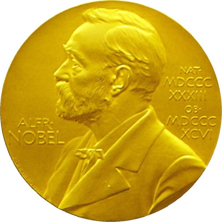 Premios Nobel 2008: Quién y porqué – NeoTeo