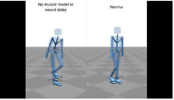 La comparativa entre el uso o no de músculos flexibles