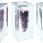 Looking Glass: Crea esculturas holográficas con impresión volumétrica