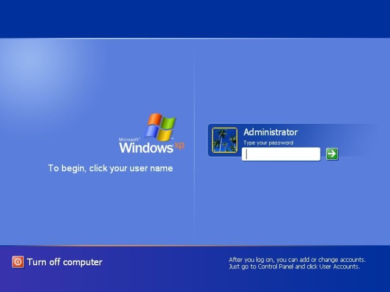 pavimento Conquistar Amplificar Windows XP tiene más usuarios que Vista y Windows 8 juntos – NeoTeo