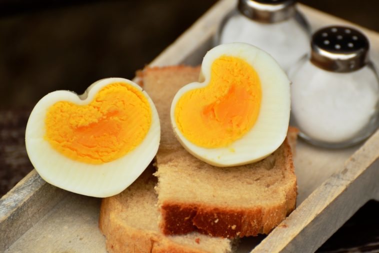 Por qué no se debe introducir 'nunca' huevos en microondas?, nndamn, RESPUESTAS